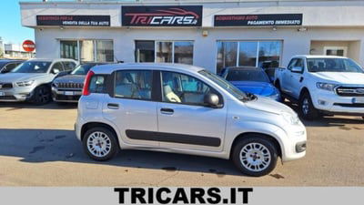 Fiat Panda 1.2 EasyPower Easy usata