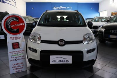Fiat Panda 1.0 FireFly S&S Hybrid City Cross usata