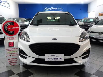 Ford Kuga 1.5 EcoBlue 120 CV aut. 2WD usata