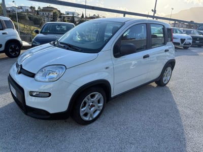 Fiat Panda 1.0 firefly hybrid s&s 70cv 5p.ti usata