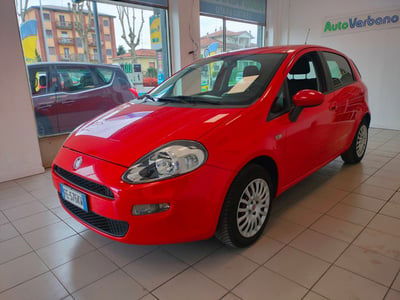 Fiat Punto 1.2 8V 5 porte Young usata