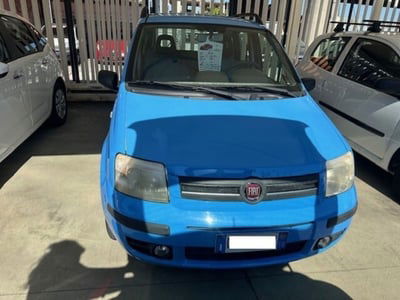 Fiat Panda 1.2 Dynamic  usata