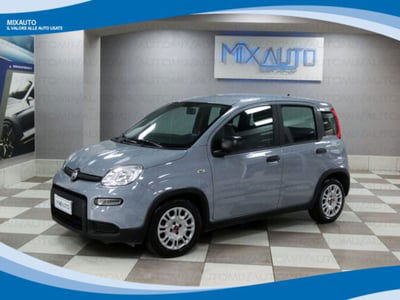 Fiat Panda 1.0 firefly hybrid s&s 70cv 5p.ti usata