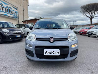 Fiat Panda 1.2 EasyPower Easy usata