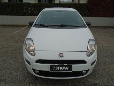 Fiat Punto 1.4 8V 5 porte Easypower Street usata