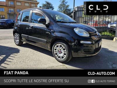 Fiat Panda 1.2 Easy usata