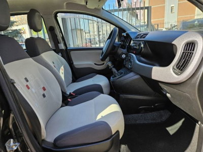 Fiat Panda 1.2 Easy (11)