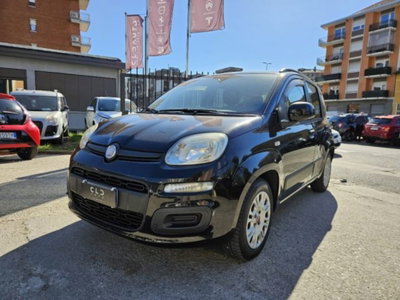 Fiat Panda 1.2 Easy (4)