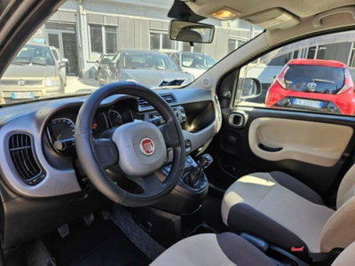 Fiat Panda 1.2 Easy (6)