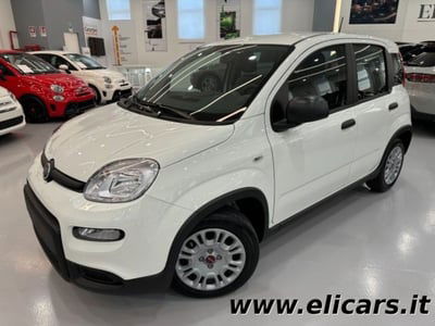 Fiat Panda 1.0 firefly hybrid s&s 70cv 5p.ti nuova