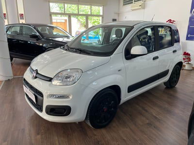 Fiat Panda 1.2 Easy usata