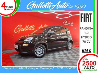 Fiat Panda Cross Cross 1.0 FireFly S&S Hybrid nuova
