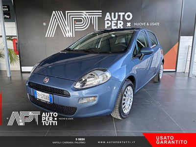 Fiat Punto 1.2 8V 5 porte Street usata