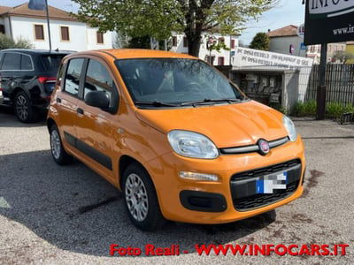 Fiat Panda 1.2 Easy usata