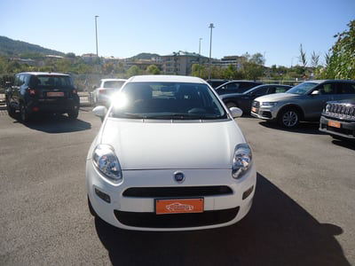 Fiat Punto 1.4 8V 5 porte Natural Power Street  usata