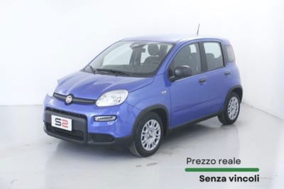Fiat Panda 1.0 firefly hybrid s&s 70cv 5p.ti nuova