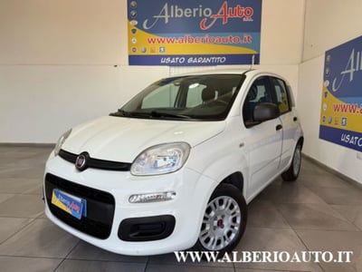 Fiat Panda 1.2 Easy usata