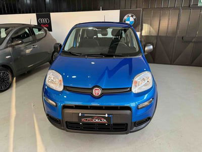 Fiat Panda Cross Cross 1.0 FireFly S&S Hybrid  usata