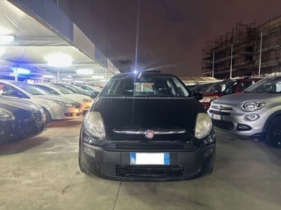 Fiat Punto Evo 1.4 5 porte S&S Active usata