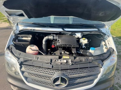 Mercedes-Benz Sprinter T32/30 216 CDI Cabinato (11)