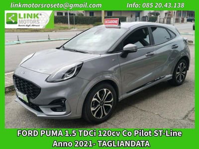 Ford Puma 1.5 EcoBlue 120 CV S&S ST-Line usata