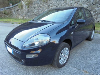 Fiat Punto 1.4 8V 5 porte Natural Power Lounge  usata