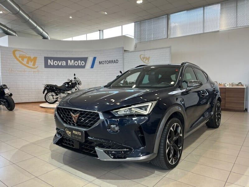 Cupra Formentor Formentor 2.0 tdi 4drive 150cv dsg