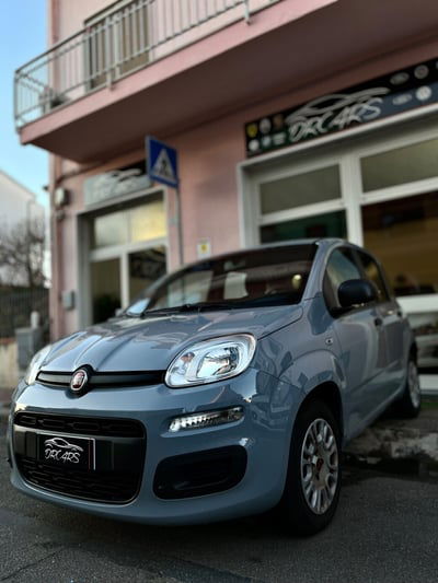 Fiat Panda 1.2 Easy usata