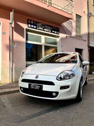 Fiat Punto 1.2 8V 5 porte Street usata