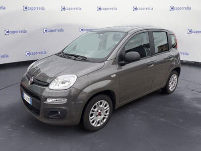Fiat Panda 1.2 EasyPower City Life usata