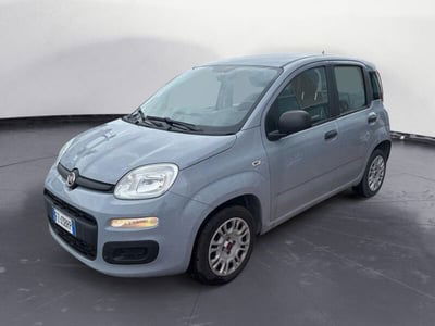 Fiat Panda 1.2 Easy usata