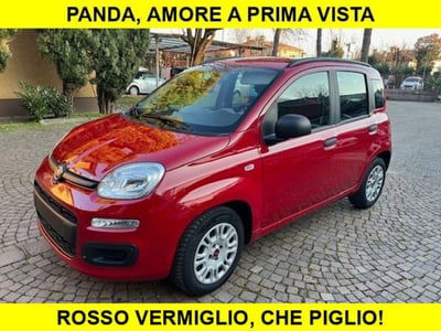 Fiat Panda 1.2 usata