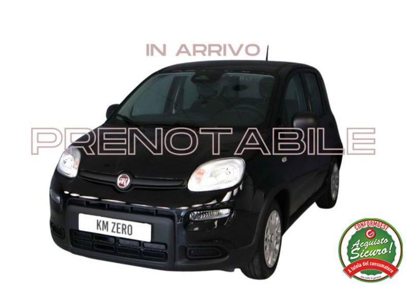 Fiat Panda 1.0 firefly hybrid s&s 70cv 5p.ti