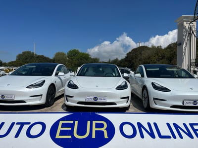 Tesla Model 3 Model 3 Standard RWD Plus  usata