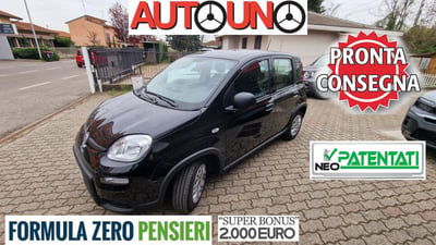 Fiat Panda Cross Cross 1.0 FireFly S&S Hybrid usata
