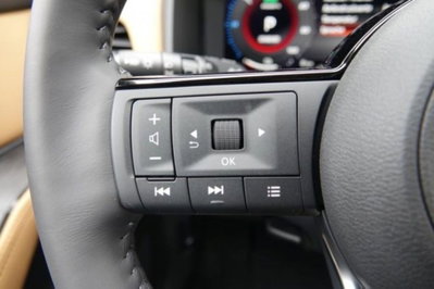Nissan X-Trail 1.5 e-power Tekna e-4orce 4wd auto (17)