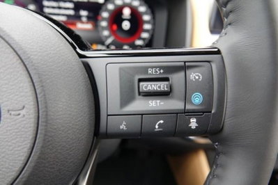 Nissan X-Trail 1.5 e-power Tekna e-4orce 4wd auto (18)