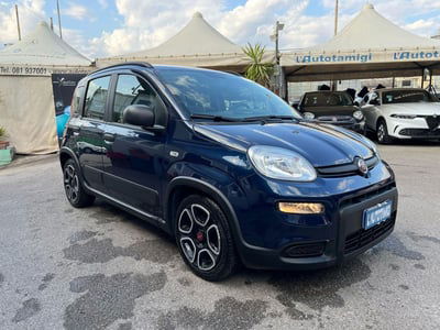Fiat Panda Cross Cross 1.0 FireFly S&S Hybrid usata