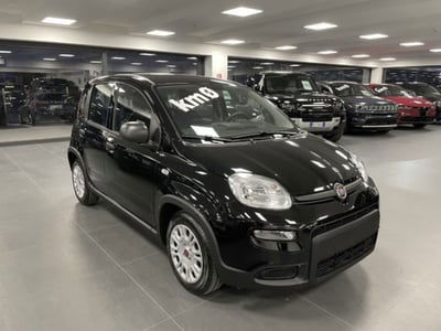 Fiat Panda 1.0 firefly hybrid s&s 70cv 5p.ti nuova
