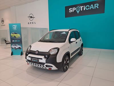 Fiat Panda Cross Cross 1.0 FireFly S&S Hybrid usata
