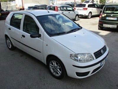 Fiat Punto 1.2 5 porte Active Natural Power usata