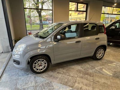 Fiat Panda 1.2 Lounge usata