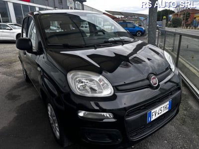 Fiat Panda 1.2 EasyPower Easy usata