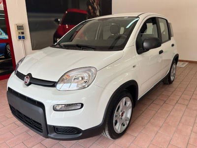 Fiat Panda 1.0 firefly hybrid s&s 70cv 5p.ti nuova