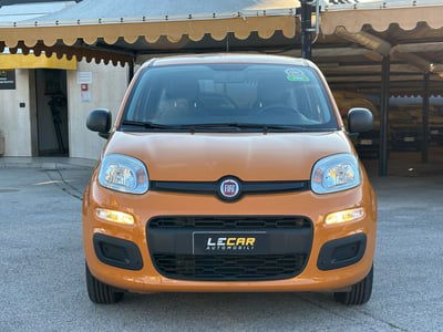 Fiat Panda 1.2 Easy usata