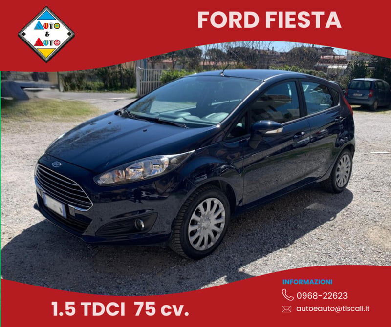 Ford Fiesta 1.5 TDCi 75CV 5 porte Titanium