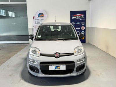 Fiat Panda 1.2 Easy usata