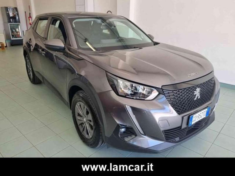 Peugeot 2008 BlueHDi 100 S&S Active