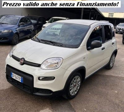Fiat Panda 1.0 firefly hybrid s&s 70cv 5p.ti usata