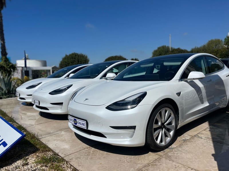 Tesla Model S Model S 100kWh Long Range Dual Motor AWD
